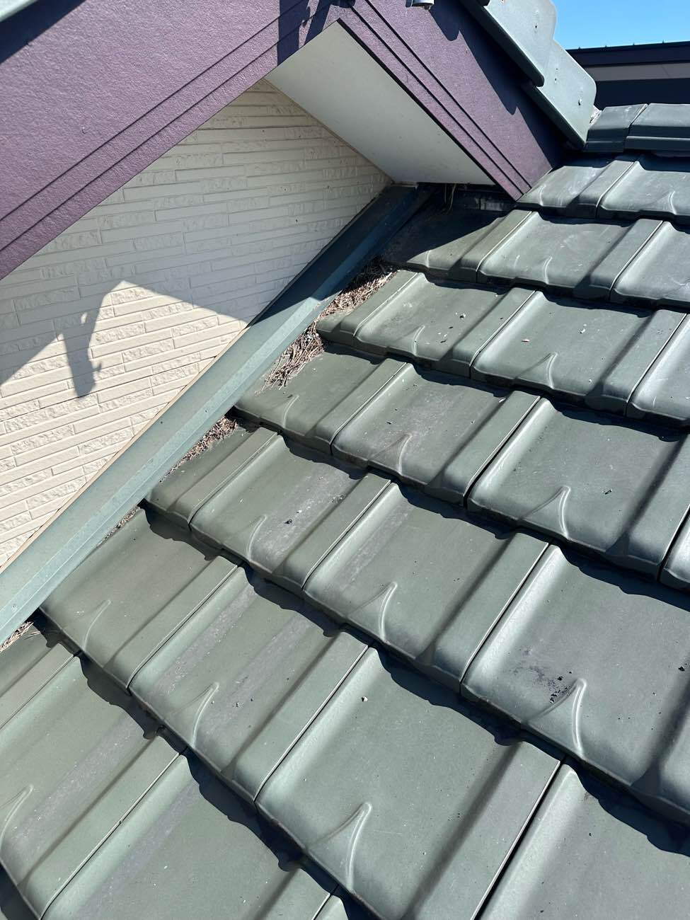 鳥の巣のゴミが溜まっている屋根