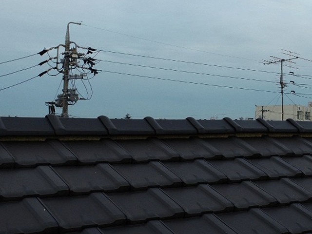 住宅の定期点検で平板瓦屋根の漆喰の劣化を確認