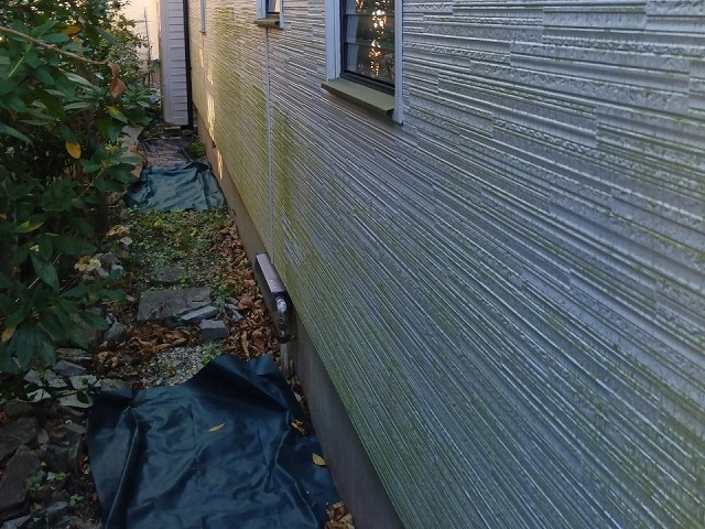 住宅無料点検でサイディング外壁への苔の付着を確認