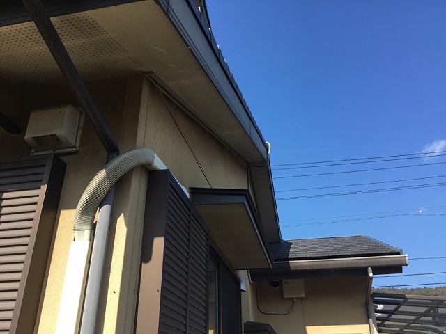 無料点検で住宅の軒天にカビが見られる様子