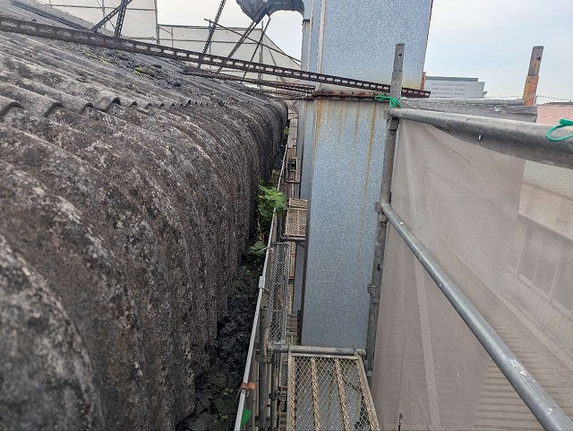 改修工事を行う工場建物の雨樋に土砂が堆積している様子