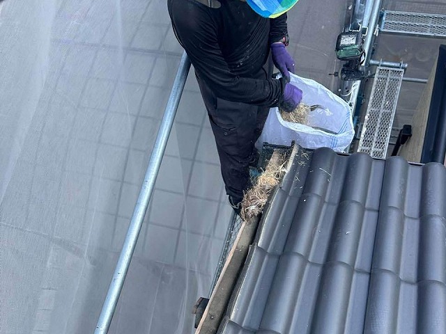 袖瓦取り外し工事の既存棟瓦取り外し後にあった鳥の巣の撤去