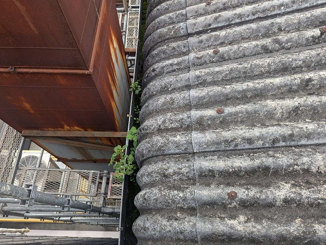 改修工事を行う工場建物の雨樋に雑草が生えている様子