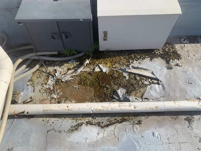 ウレタン塗膜防水が剥がれて下地が露出している状況