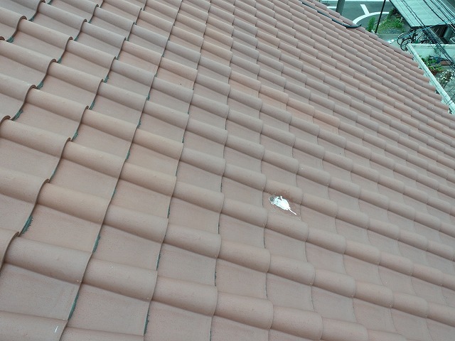 モニエル瓦屋根の上への糞被害