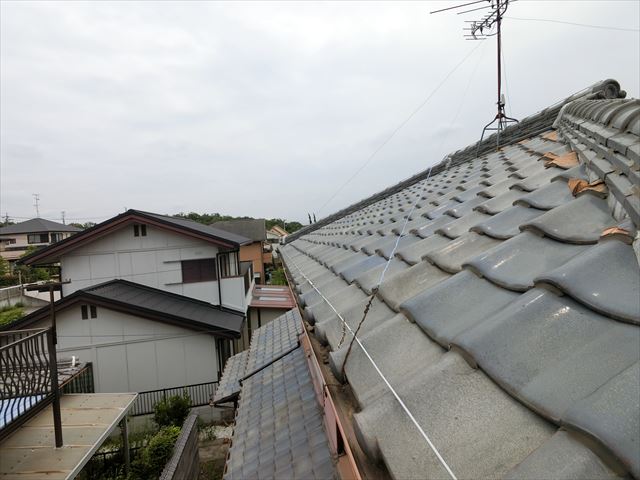 屋根の全景