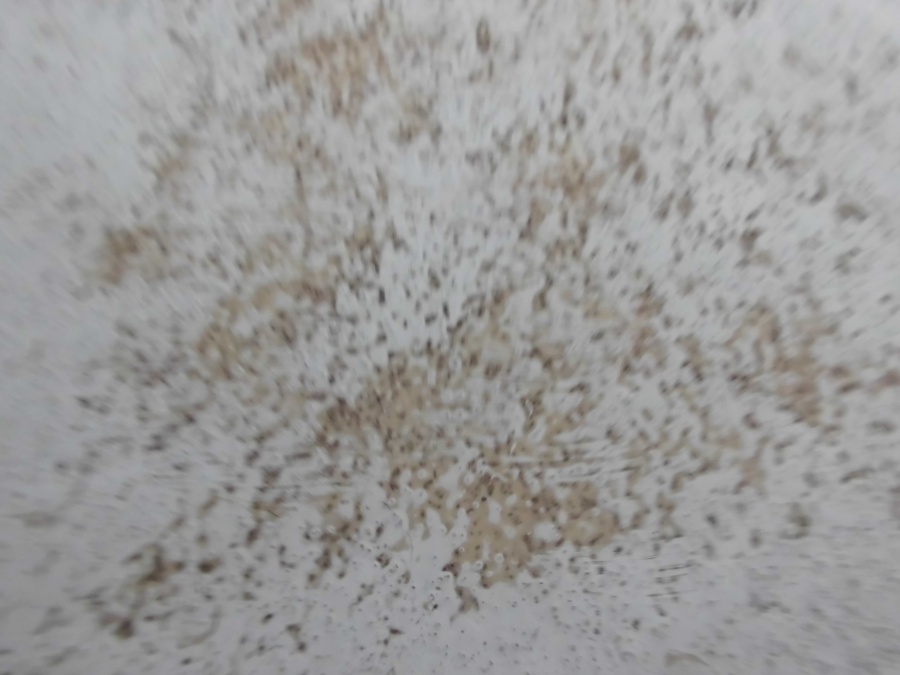 FRP防水