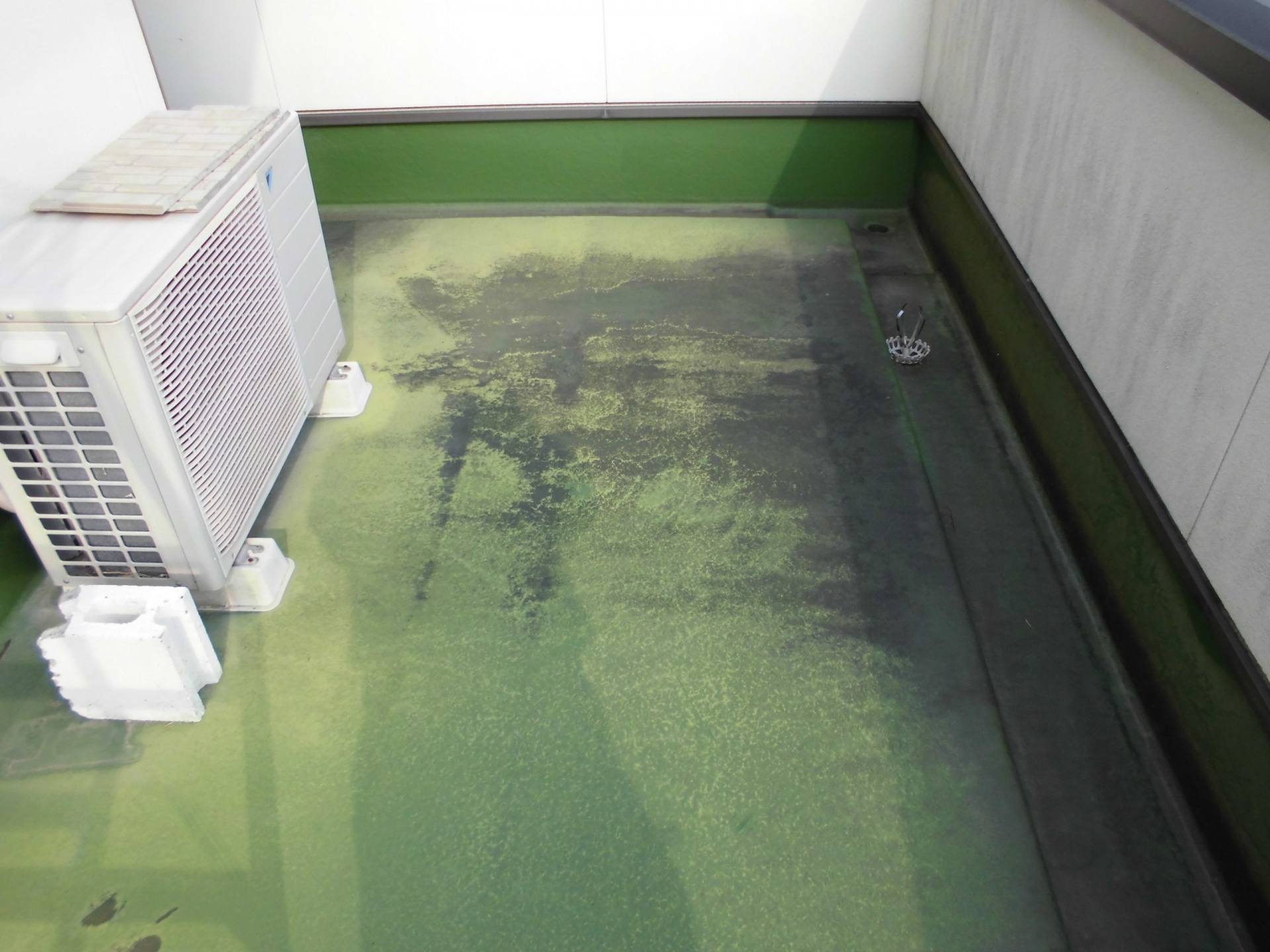 屋根及びバルコニー点検