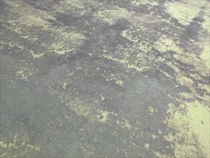 屋根及びバルコニー点検