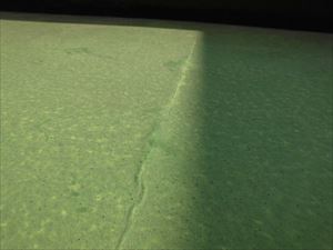 屋根及びバルコニー点検