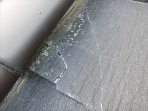 屋根及びバルコニー点検