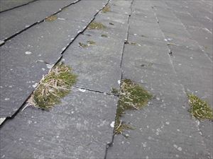 屋根及びバルコニー点検