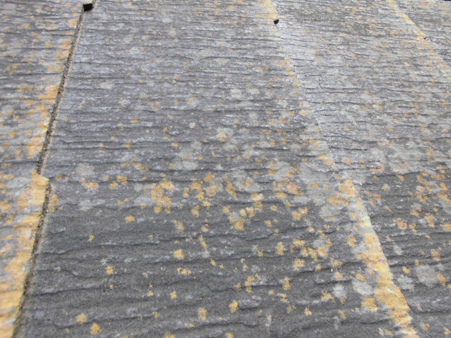 スレート瓦屋根