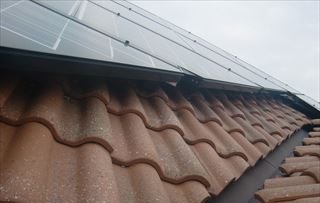 屋根の中に鳥の巣