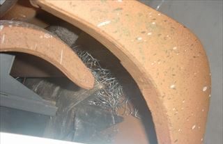 屋根の中に鳥の巣