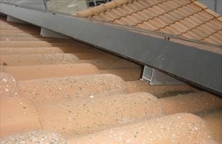 屋根の中に鳥の巣