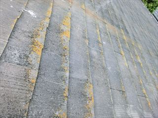 カラーベスト屋根