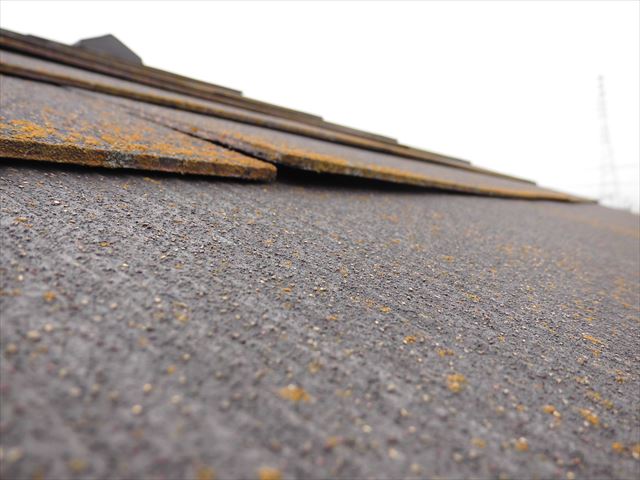 スレートの浮きとカビ
