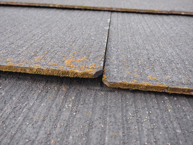 スレートの浮き２