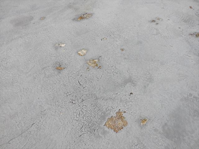 ＦＲＰのトップコートの劣化