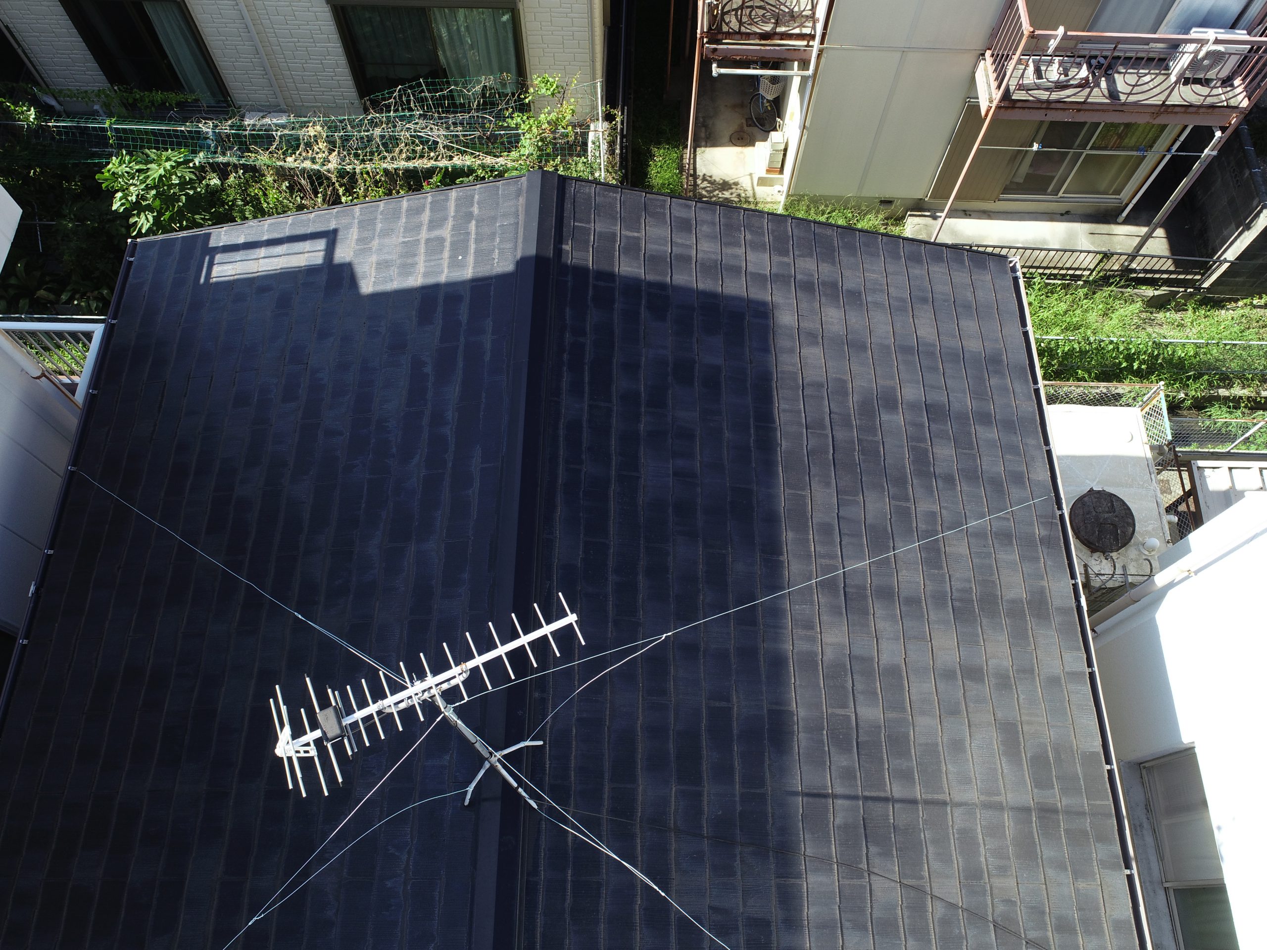 カラーベスト点検