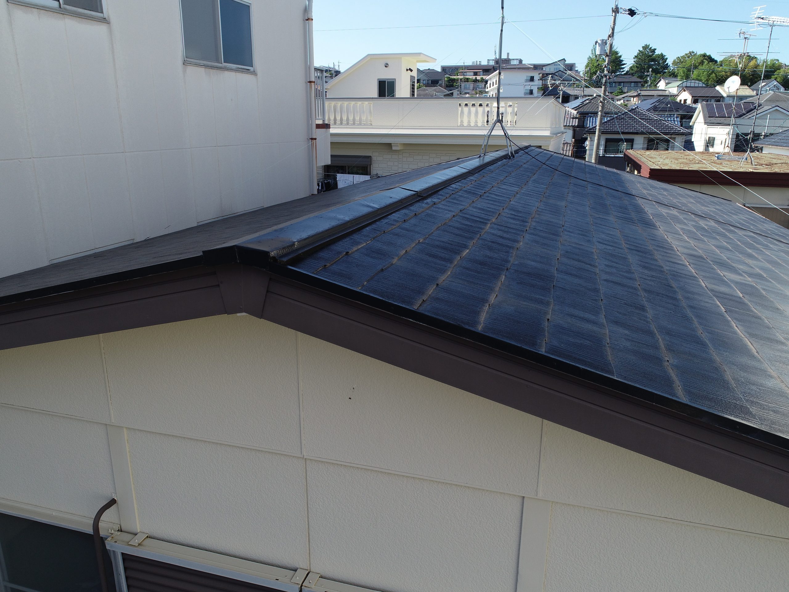 カラーベスト点検