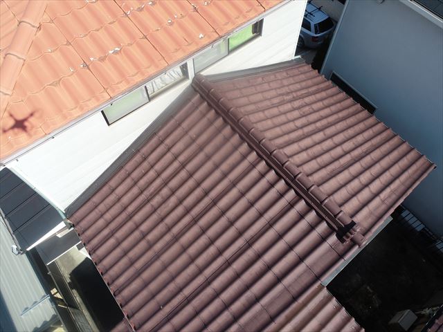 データから落とした画像