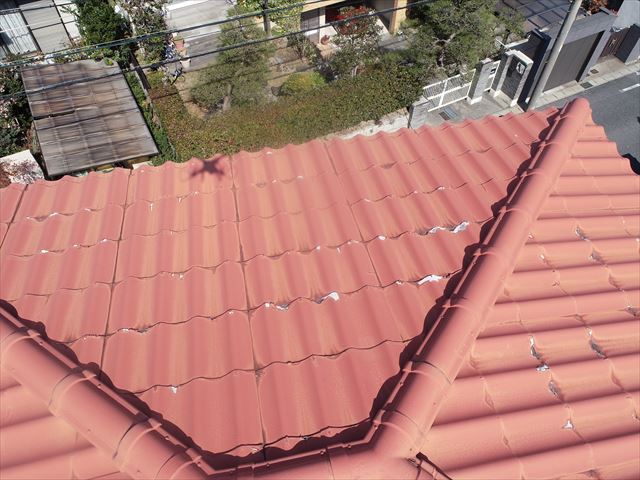 データから落とした画像