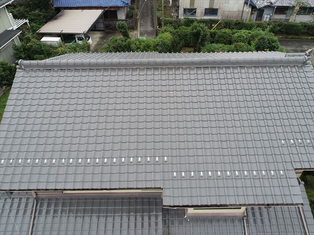 屋根の全景