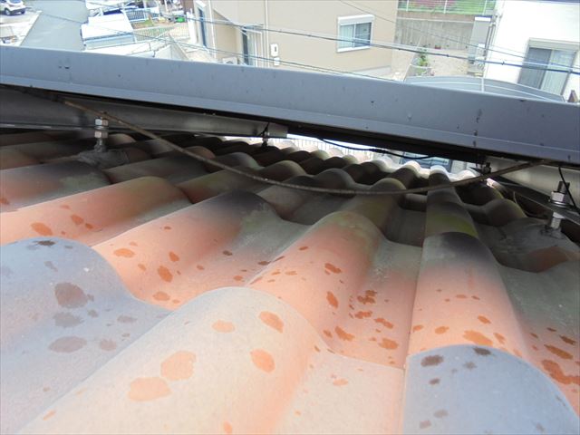 スパニッシュ瓦