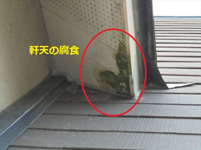 軒天の腐食