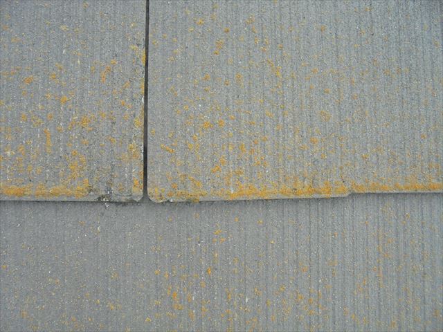 ｽﾚｰﾄのｶﾋﾞ