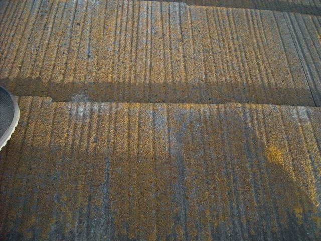 スレートの表面のカビ