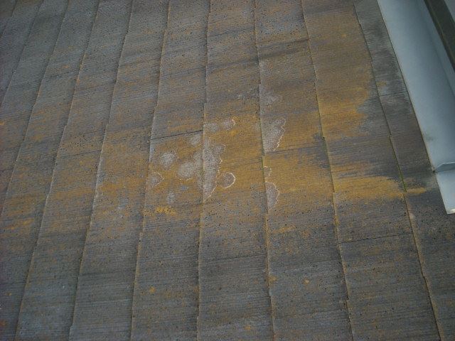 スレートの表面のカビ