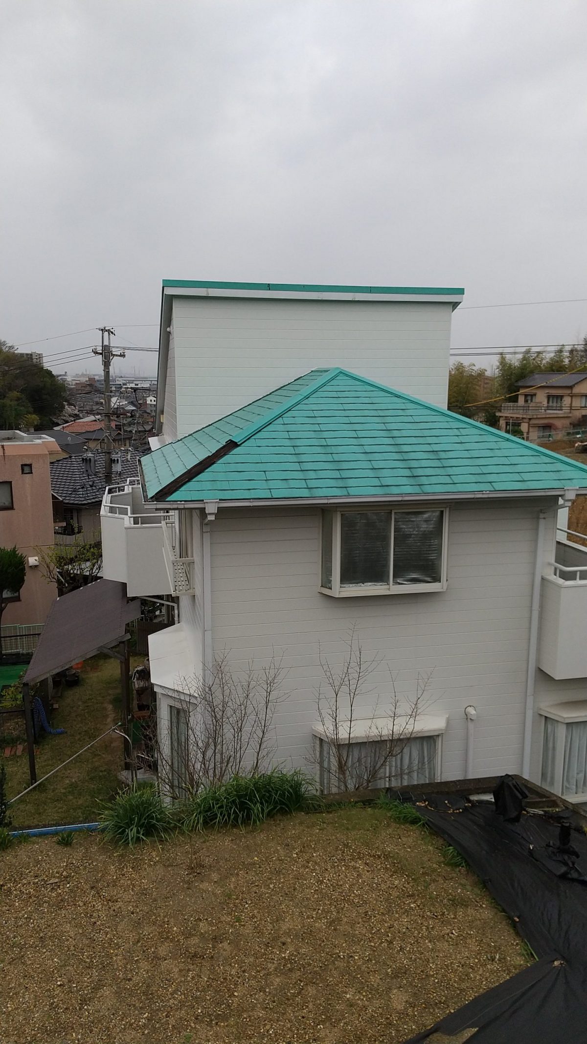 棟板金