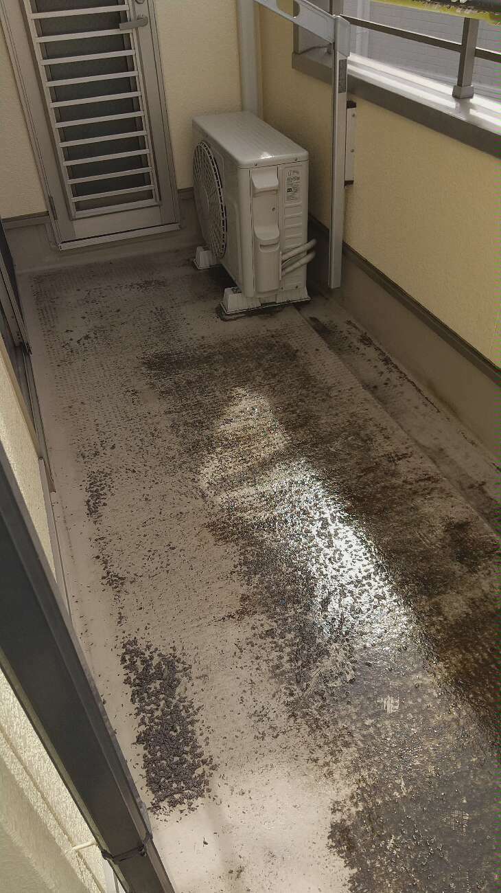 仕上がりを左右する清掃工程