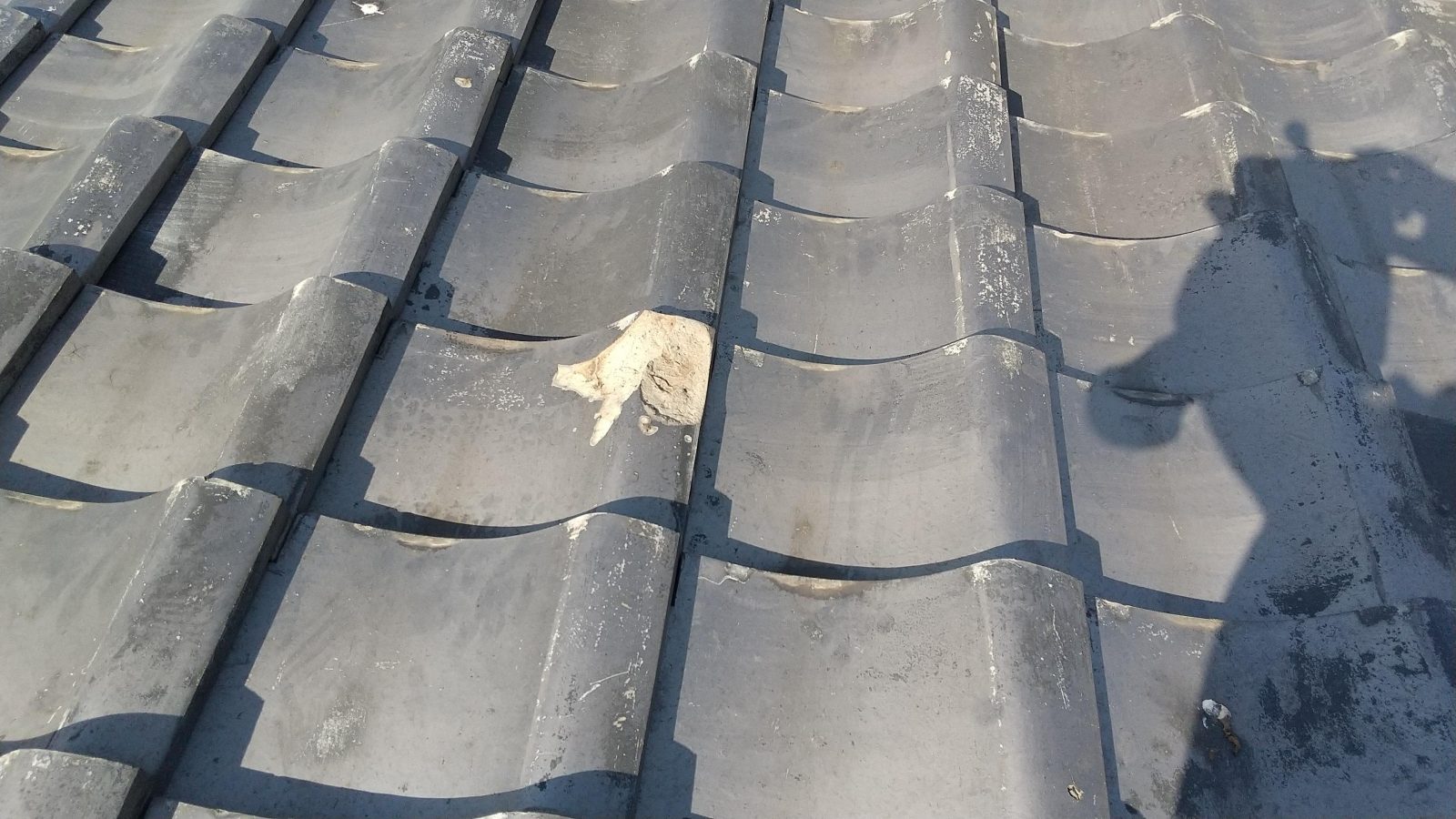 瓦屋根の葺き替え