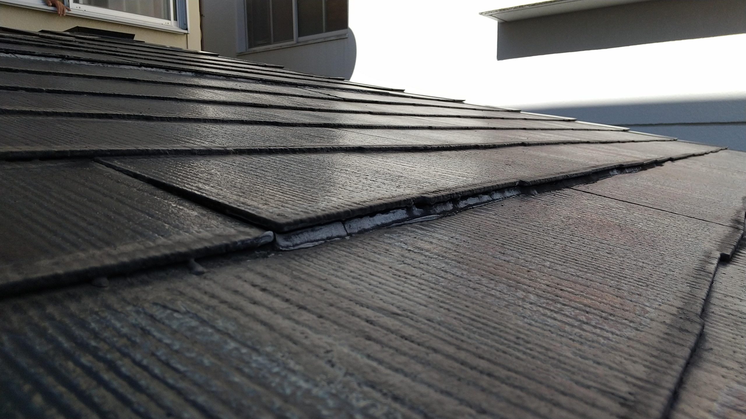 カラーベスト点検