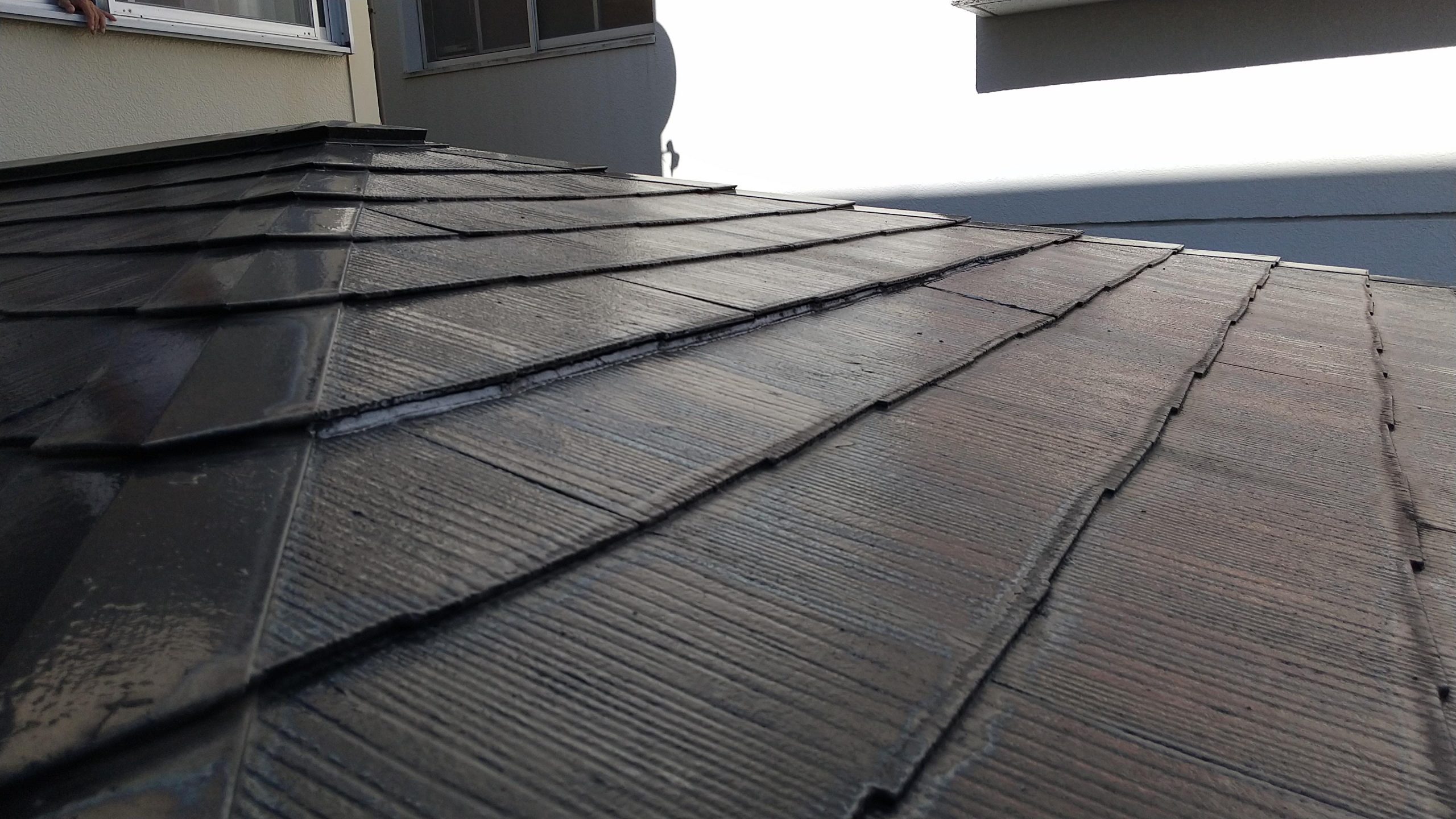 カラーベスト点検