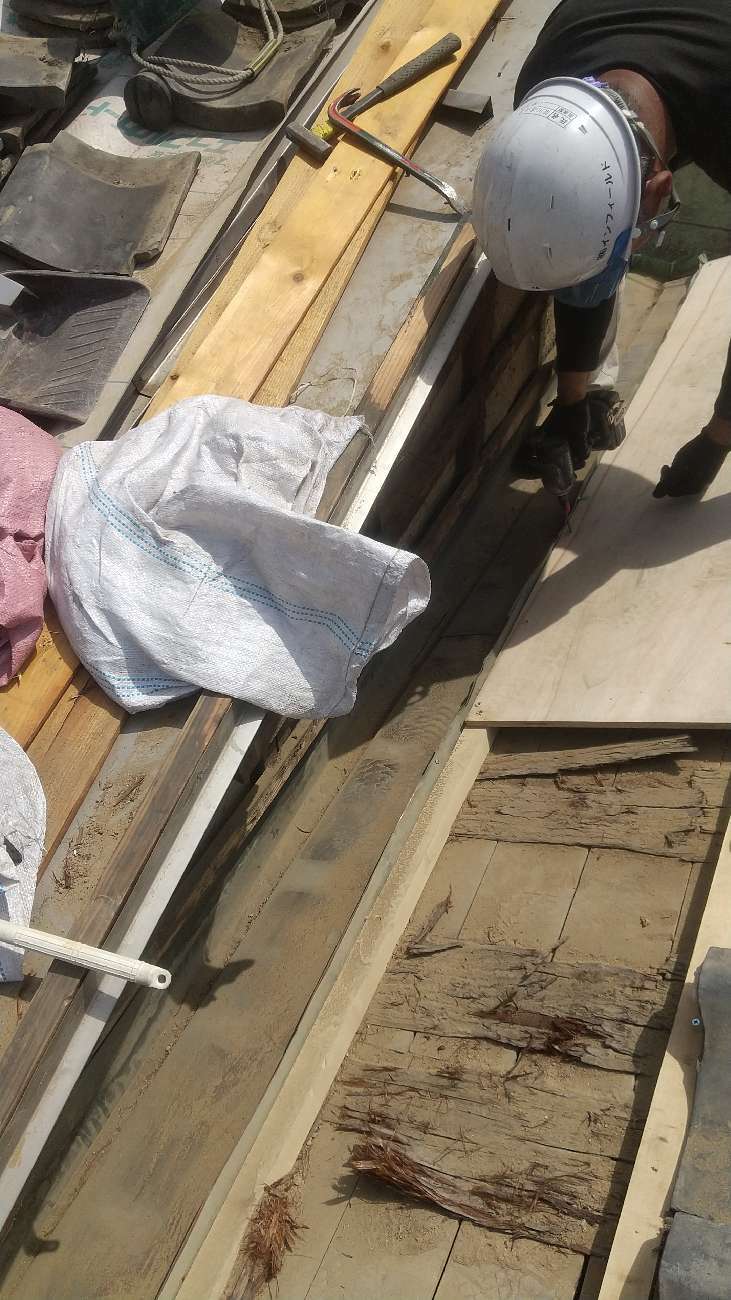 構造用合板を施工