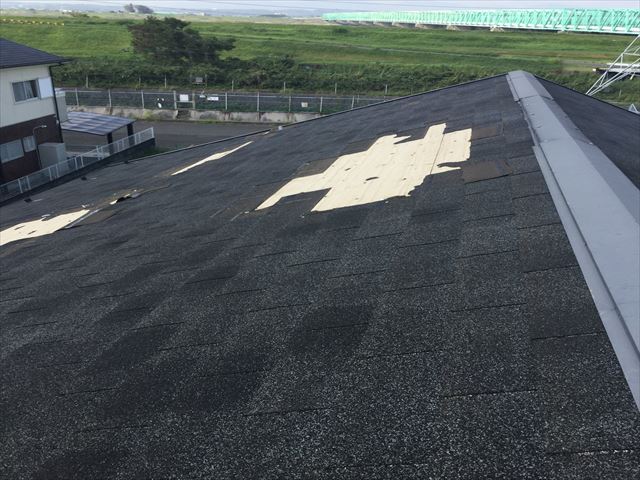 シングル材の屋根全景