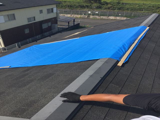 ブルーシートで養生