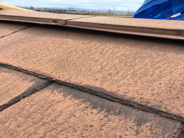 棟板金の釘浮き