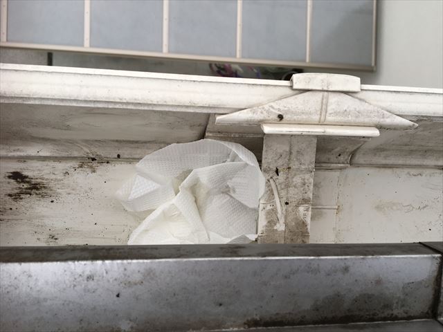 雨樋の掃除中