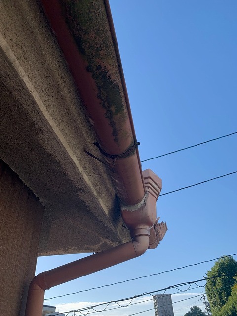 汚れや苔などが付着した軒樋の様子