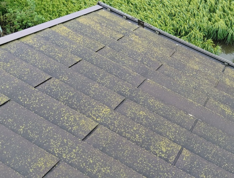 屋根の表面の劣化