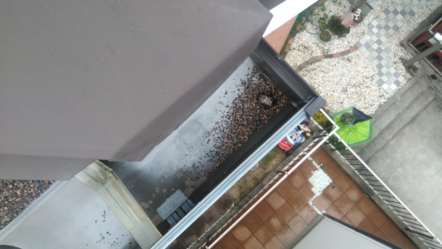 雨樋に屋根材の砂