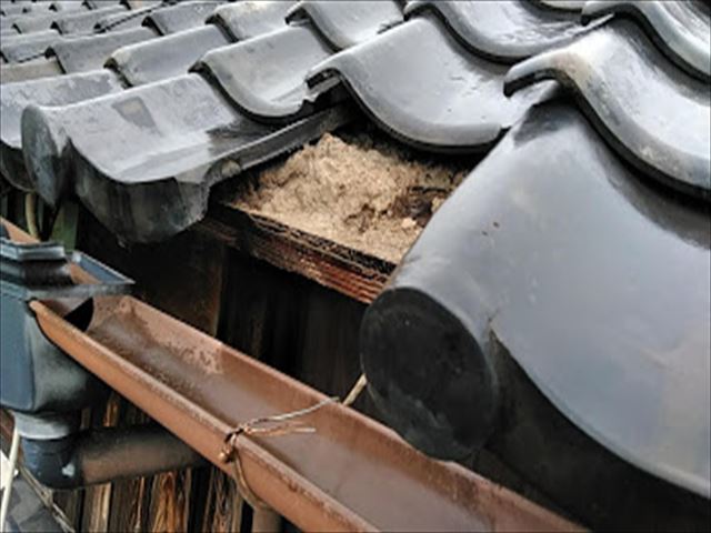 雨漏りしている瓦屋根