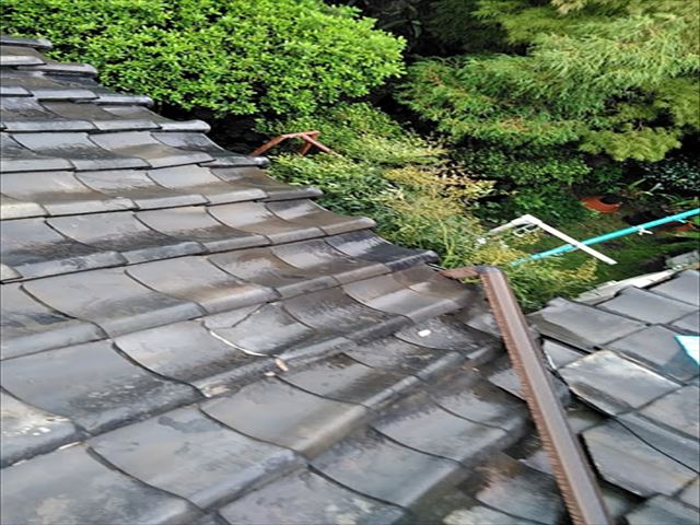 雨漏りしている瓦屋根
