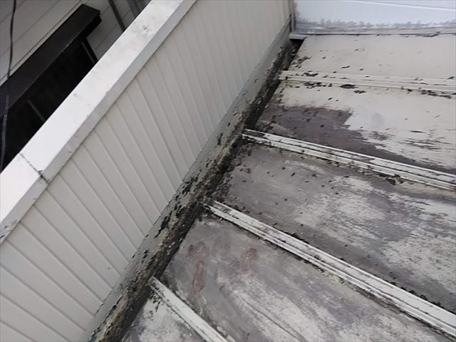 立平葺きのカバー工事